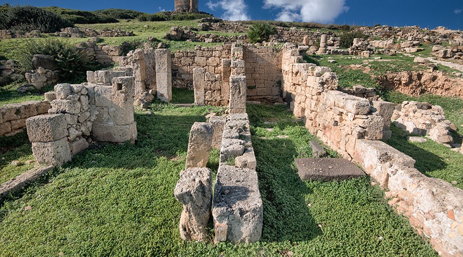 Remains of parallel stone house walls in the Punic-Roman quarter.