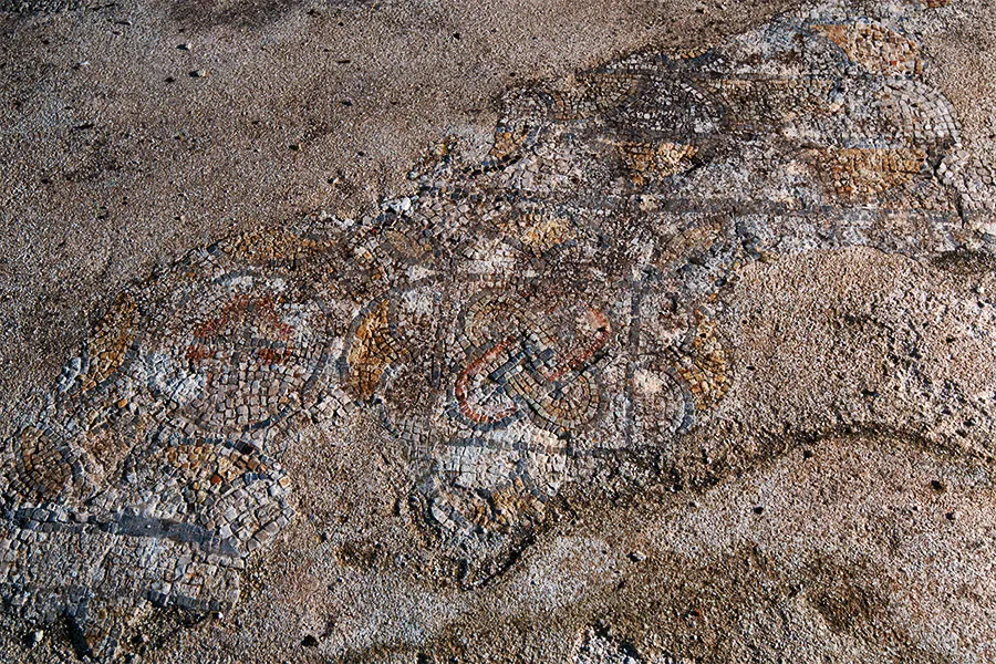 A mosaic floor featuring the motif called “Solomon’s knot” in the courtyard of the Semitic Temple.