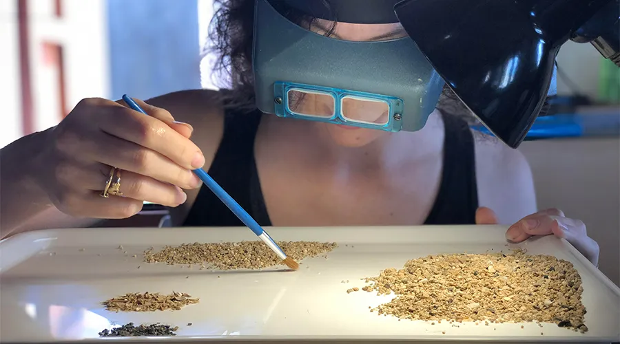 Researchers with the University of Cincinnati conduct bioarchaeological studies on material from Tharros.